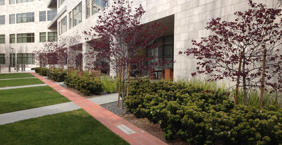 AMN Corporate Campus